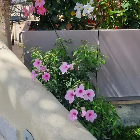 Daphne 4* Giardini Naxos