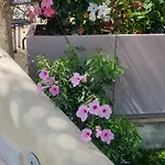 Daphne 4* جيارديني ناكسوس