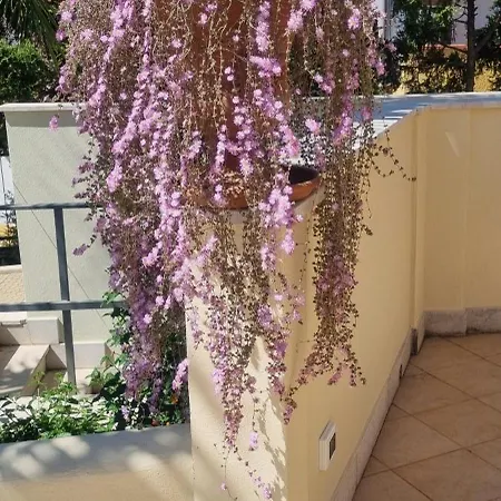 Ξενοδοχείο Daphne 4*