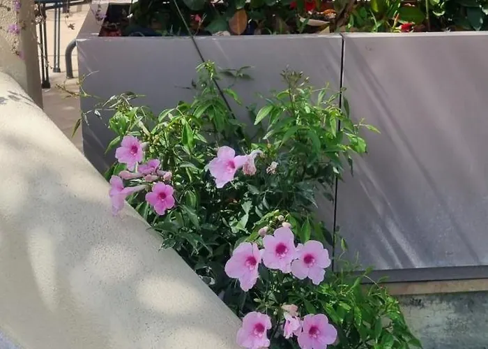 Daphne 4* גיארדיני נאקסוס